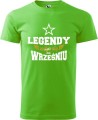 Męskie koszulki z miesiącem na urodziny Legendy rodzą się w kolor green apple