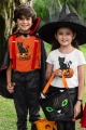 AnyConv.com__Dynia z kotem koszulka dziecięca foto.webp