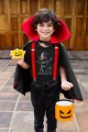 AnyConv.com__Kotek halloween koszulki dziecięce foto 5.webp