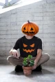 Męska koszulka halloween z nadrukiem minki groźnej dyni w różnych kolorach